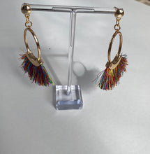 Load image into Gallery viewer, Long Hoop Tassel Earrings
